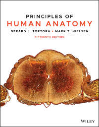 (PDF)Principles of Human Anatomy 15th Edition